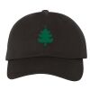 Classic Dad Hat Thumbnail