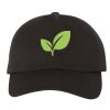 Classic Dad Hat Thumbnail