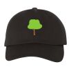 Classic Dad Hat Thumbnail