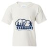 Heavy Cotton Youth T-Shirt Thumbnail