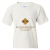 Heavy Cotton Youth T-Shirt Thumbnail