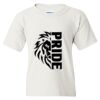 Heavy Cotton Youth T-Shirt Thumbnail