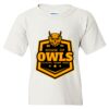 Heavy Cotton Youth T-Shirt Thumbnail
