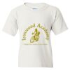 Heavy Cotton Youth T-Shirt Thumbnail