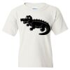 Heavy Cotton Youth T-Shirt Thumbnail