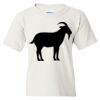 Heavy Cotton Youth T-Shirt Thumbnail