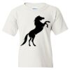 Heavy Cotton Youth T-Shirt Thumbnail