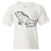 Heavy Cotton Youth T-Shirt Thumbnail