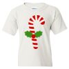 Heavy Cotton Youth T-Shirt Thumbnail