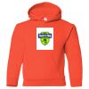 Heavy Blend™ Youth Hooded Sweatshirt Thumbnail