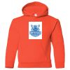 Heavy Blend™ Youth Hooded Sweatshirt Thumbnail