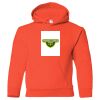 Heavy Blend™ Youth Hooded Sweatshirt Thumbnail