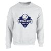 Heavy Blend™ Sweatshirt Thumbnail