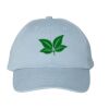 Bio-Washed Classic Dad Hat Thumbnail