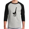 Colorblock Raglan Jersey Thumbnail