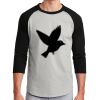 Colorblock Raglan Jersey Thumbnail