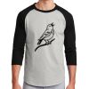 Colorblock Raglan Jersey Thumbnail