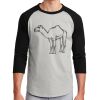 Colorblock Raglan Jersey Thumbnail