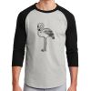 Colorblock Raglan Jersey Thumbnail