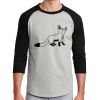 Colorblock Raglan Jersey Thumbnail