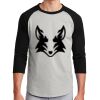 Colorblock Raglan Jersey Thumbnail