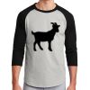 Colorblock Raglan Jersey Thumbnail