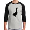 Colorblock Raglan Jersey Thumbnail