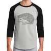 Colorblock Raglan Jersey Thumbnail