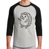 Colorblock Raglan Jersey Thumbnail