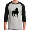 Colorblock Raglan Jersey Thumbnail