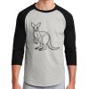 Colorblock Raglan Jersey Thumbnail
