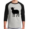 Colorblock Raglan Jersey Thumbnail