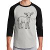 Colorblock Raglan Jersey Thumbnail
