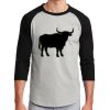 Colorblock Raglan Jersey Thumbnail