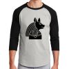 Colorblock Raglan Jersey Thumbnail