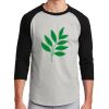 Colorblock Raglan Jersey Thumbnail