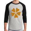 Colorblock Raglan Jersey Thumbnail