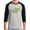 Colorblock Raglan Jersey Thumbnail