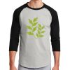 Colorblock Raglan Jersey Thumbnail
