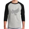 Colorblock Raglan Jersey Thumbnail